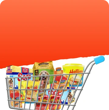 LLENA TU CARRITO DE COMPRAS CON NOSOTROS